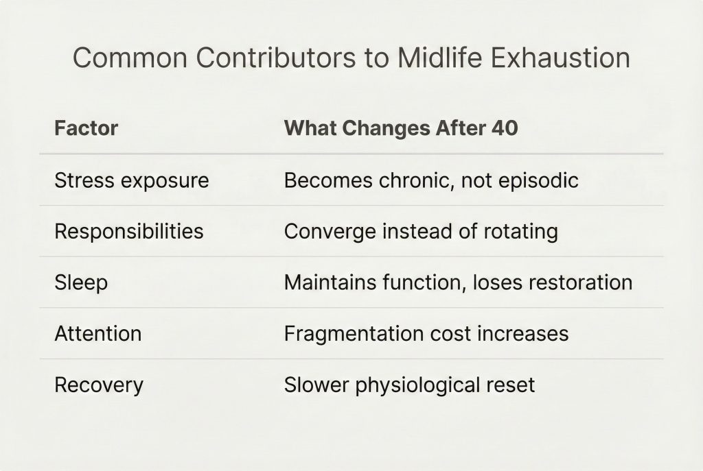 Table outlining common contributors to midlife exhaustion, showing how stress becomes chronic, responsibilities converge, sleep loses restorative quality, attention fragments, and physiological recovery slows after age 40.